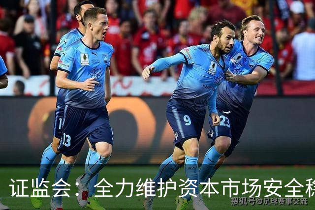 证监会：全力维护资本市场安全稳定